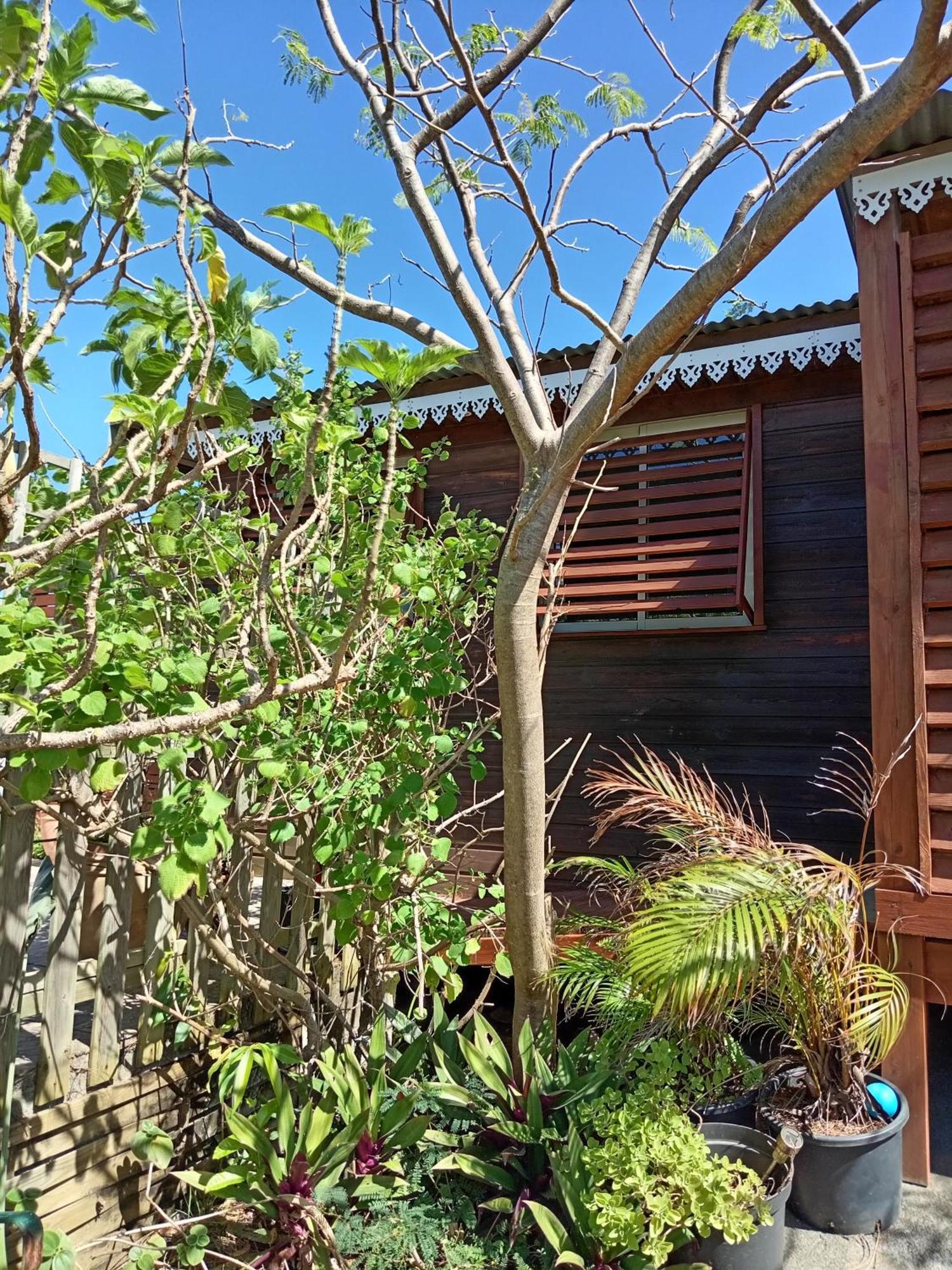 Villa Location Bord Ocean, Holi-Wood Saint-Joseph Esterno foto